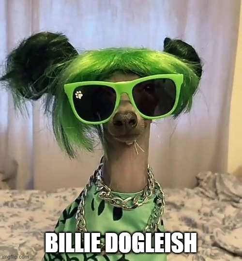 Billie!!! | billie dogleish | image tagged in 302c832b8d20f259bed8c15c471d1285 jpg | made w/ Imgflip meme maker