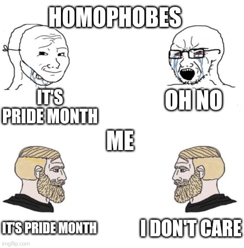 Homophobes vs me | Homophobes; Oh no; It's pride month; Me; I don't care; It's pride month | image tagged in chad we know,homophobia,homophobic,homophobe,pride month,lgbt | made w/ Imgflip meme maker
