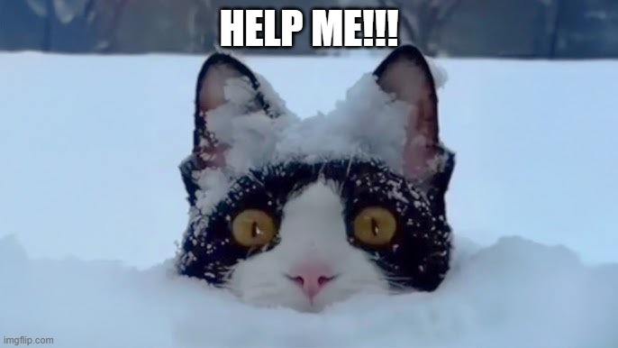 Snow Stuck | Help me!!! | image tagged in hq720 jpg,cats | made w/ Imgflip meme maker