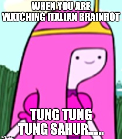 I like Italian Brainrot..... | when you are watching Italian Brainrot; Tung Tung Tung Sahur...... | image tagged in italian brainrot,tung tung tung sahur,watching | made w/ Imgflip meme maker