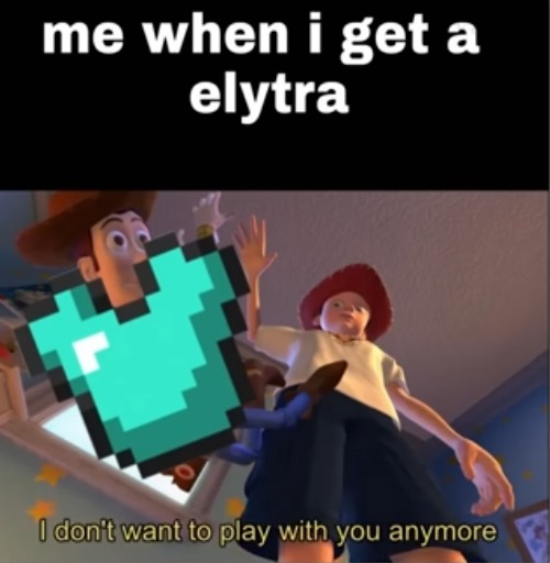 image tagged in elytra,minecraft memes,minecraft,toy story,i don't want to play with you anymore,armor | made w/ Imgflip meme maker