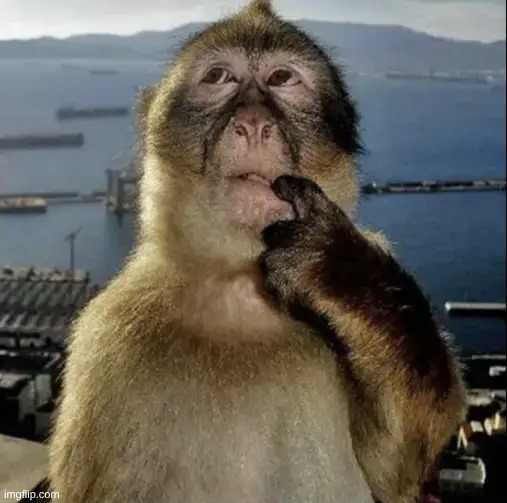 how comes drizzle (BY IMGFLIP DEFINITION) harasses norther 24/7 but saying something slightly disrespectful is a 73 year ban | image tagged in monkey thinking | made w/ Imgflip meme maker