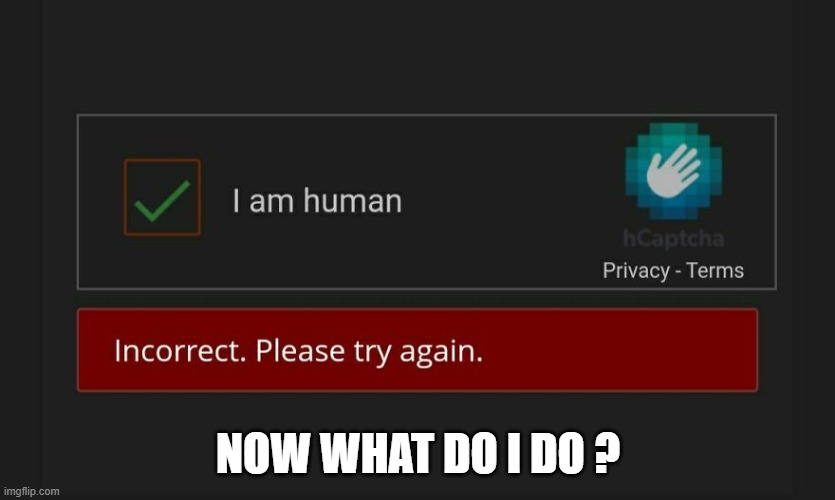What do you do when your computer says that you are not a human? | Now what do i do ? | image tagged in games,video games,computer,funny,humor | made w/ Imgflip meme maker