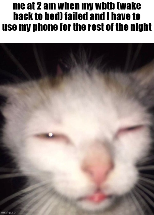 only occasional lucid dreamers can relate | me at 2 am when my wbtb (wake back to bed) failed and I have to use my phone for the rest of the night | image tagged in tired,relatable,lucid dreaming,dream | made w/ Imgflip meme maker