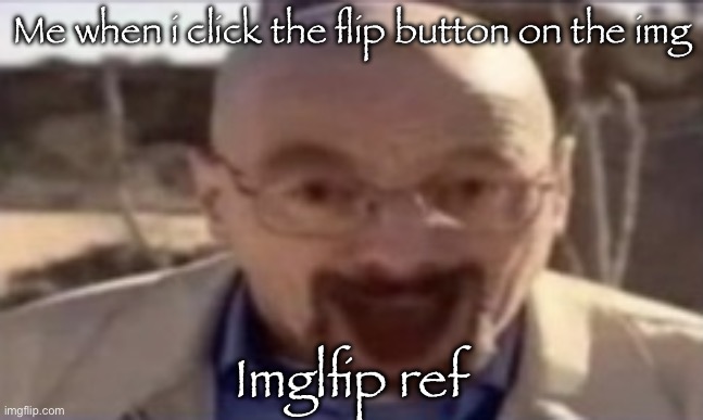 waltuh happy | Me when i click the flip button on the img; Imglfip ref | image tagged in waltuh happy | made w/ Imgflip meme maker