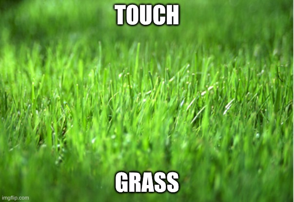Touch Grass please <3 | Touch; Grass | image tagged in grass is greener | made w/ Imgflip meme maker