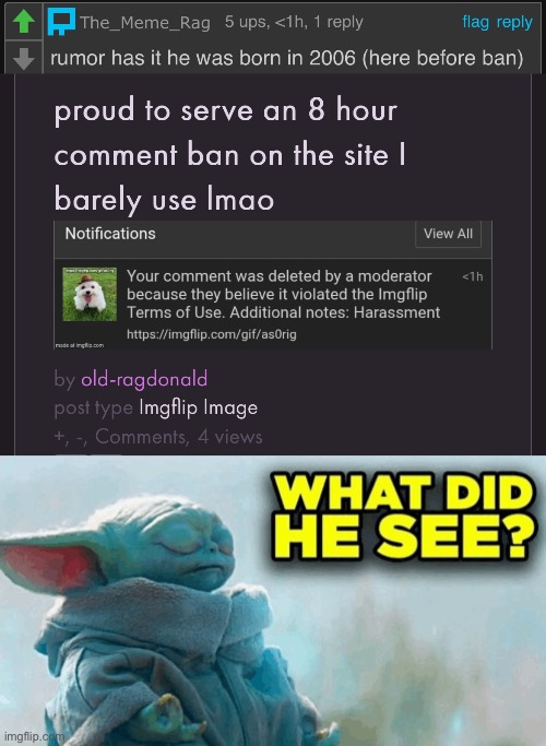 image tagged in baby yoda what did he see | made w/ Imgflip meme maker