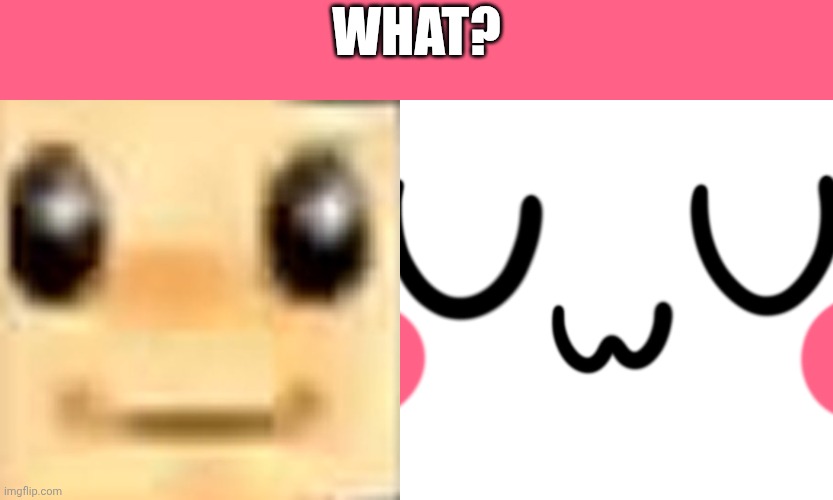 What? | What? | image tagged in bup,uwu,toad,mario,memes,funny | made w/ Imgflip meme maker