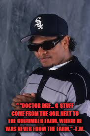 Eazy-E on Dr. Dre | " "Doctor Dre... G-stuff come from the soil next to the cucumber farm. Which he was never from the farm." -E.W. | image tagged in eazy-e,dre,nwa,cucumber,pickle | made w/ Imgflip meme maker