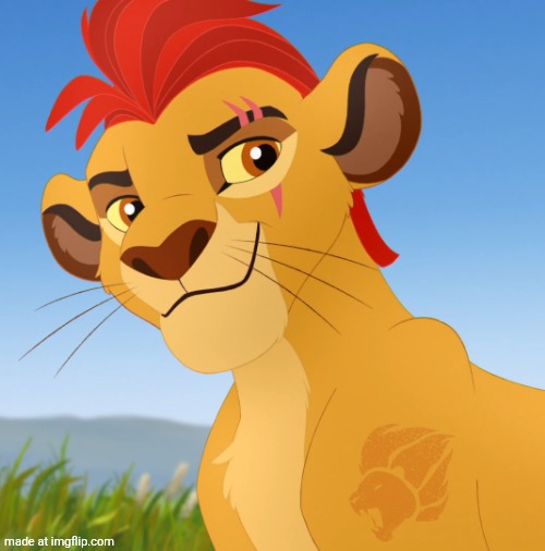 Kion | image tagged in kion | made w/ Imgflip meme maker