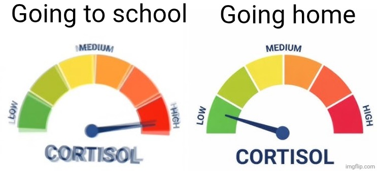 high vs low cortisol | Going to school; Going home | image tagged in high vs low cortisol | made w/ Imgflip meme maker
