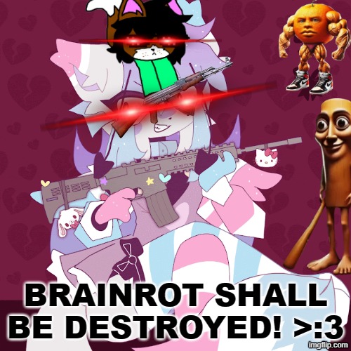 Brainrot Shall Be Destroyed | Brainrot shall be destroyed! >:3 | image tagged in sashley with a gun,remix,memes,sashley,brainrot | made w/ Imgflip meme maker