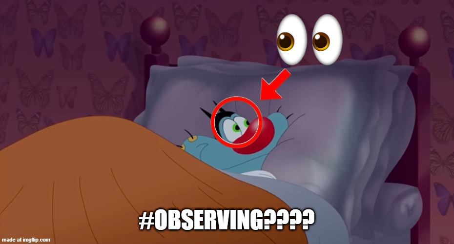 #Observing ahh Oggy | #OBSERVING???? | image tagged in observing ahh oggy | made w/ Imgflip meme maker