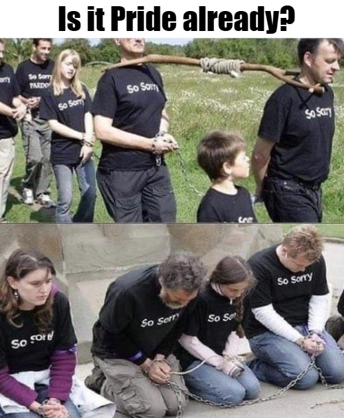 State sponsored cult behavior | Is it Pride already? | image tagged in woke,identity politics,politics,slavery | made w/ Imgflip meme maker