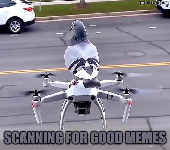 Bird on Drone | Scanning for good memes | image tagged in bird on drone | made w/ Imgflip meme maker