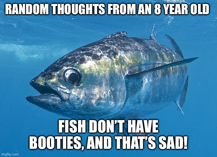 Fish | Random thoughts from an 8 year old; Fish don’t have booties, and that’s sad! | image tagged in tuna fish | made w/ Imgflip meme maker