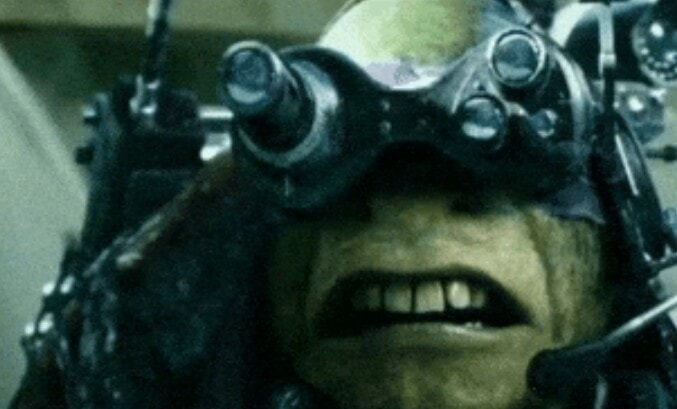 turtle ninja looking Blank Meme Template