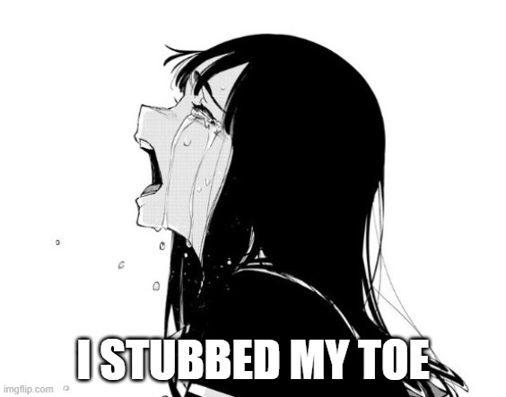 Crying Aya Asagiri | I stubbed my toe | image tagged in crying aya asagiri | made w/ Imgflip meme maker