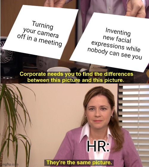 Lol | Turning your camera off in a meeting; Inventing new facial expressions while nobody can see you; HR: | image tagged in memes,they're the same picture | made w/ Imgflip meme maker