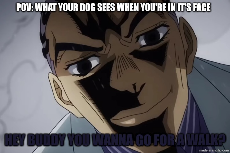 boo | POV: what your dog sees when you're in it's face; hey buddy you wanna go for a walk? | image tagged in boo,remix | made w/ Imgflip meme maker
