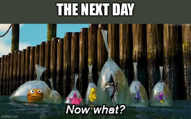 Now What? | The next day | image tagged in now what | made w/ Imgflip meme maker
