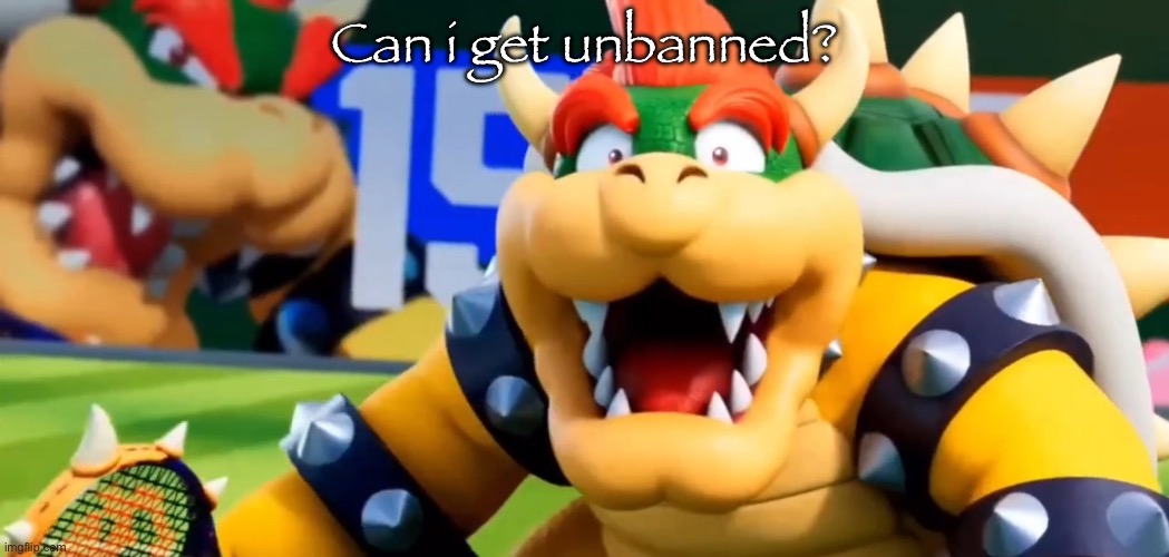 Bowser Shocked | Can i get unbanned? | image tagged in bowser shocked | made w/ Imgflip meme maker