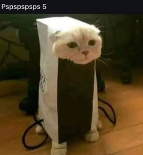 image tagged in cat,cats,ps5,pspspspspspsps,gaming,puns | made w/ Imgflip meme maker