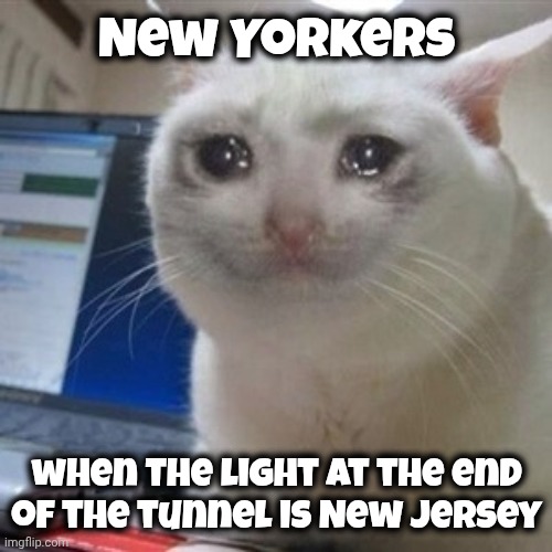 Nowhere to run | New Yorkers when the light at the end
of the tunnel is New Jersey | image tagged in crying cat,i'm surrounded by idiots,tristate,new jersey,connecticut,trapped in bizzarro world | made w/ Imgflip meme maker