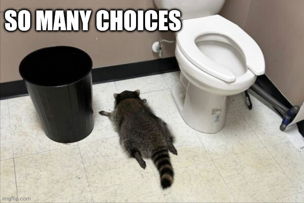 Life is a drunk raccoon | So many choices | image tagged in drunk raccoon,memes,opportunity knocks,everything is great,move along nothing to see here,bathroom wisdom | made w/ Imgflip meme maker