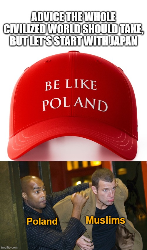 akyudtyhsgr.jpg | Advice the whole civilized world should take, but let's start with Japan; Muslims; Poland | image tagged in japan | made w/ Imgflip meme maker