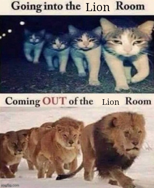 Coming into the x room Coming out of the x room | Lion; Lion | image tagged in coming into the x room coming out of the x room | made w/ Imgflip meme maker