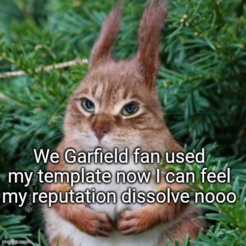 Cat Squirrel | We Garfield fan used my template now I can feel my reputation dissolve nooo | image tagged in cat squirrel | made w/ Imgflip meme maker