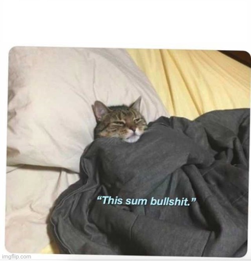 This sum bullshit cat | image tagged in this sum bullshit cat | made w/ Imgflip meme maker