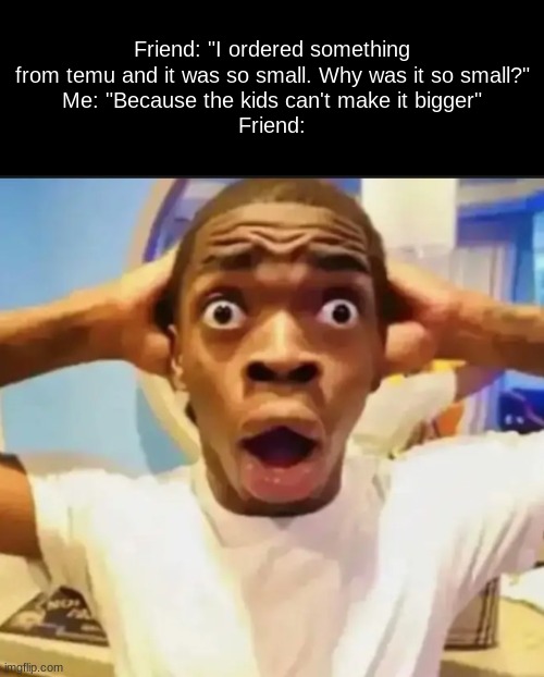 Surprised Black Guy | Friend: "I ordered something from temu and it was so small. Why was it so small?"
Me: "Because the kids can't make it bigger"
Friend: | image tagged in surprised black guy | made w/ Imgflip meme maker