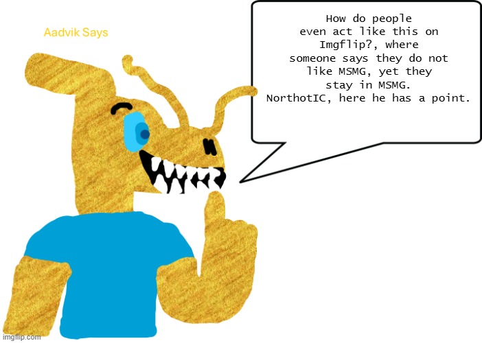 Something I meant to what I said | How do people even act like this on Imgflip?, where someone says they do not like MSMG, yet they stay in MSMG. NorthotIC, here he has a point. | image tagged in aadvik says | made w/ Imgflip meme maker