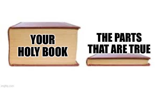 Big book small book | The parts that are true; Your holy book | image tagged in big book small book | made w/ Imgflip meme maker