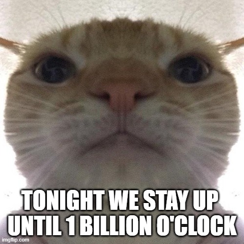 1 billion o clock | Tonight we stay up 
until 1 billion o'clock | image tagged in staring cat/gusic,cat,1 billion o'clock,stay alert | made w/ Imgflip meme maker