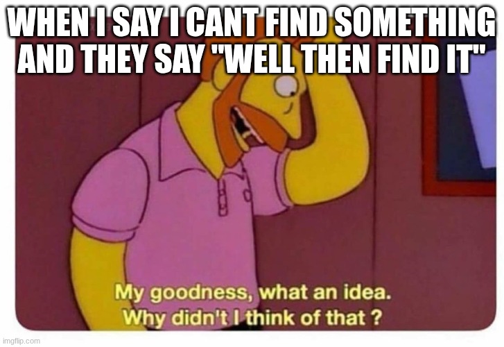 Why Didnt I Think Of That? | when I say I cant find something and they say "well then find it" | image tagged in why didnt i think of that | made w/ Imgflip meme maker