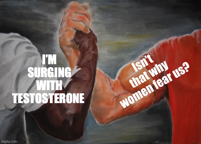 Epic Handshake Meme | I’m surging with testosterone; Isn’t that why women fear us? | image tagged in memes,epic handshake | made w/ Imgflip meme maker