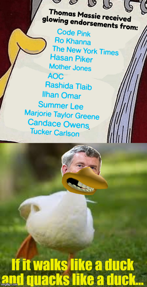 Another uniparty member | image tagged in massie,look at the endorsements,uniparty member | made w/ Imgflip meme maker