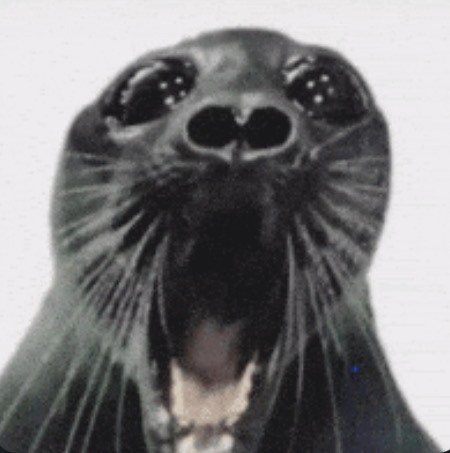 Seal Blank Meme Template