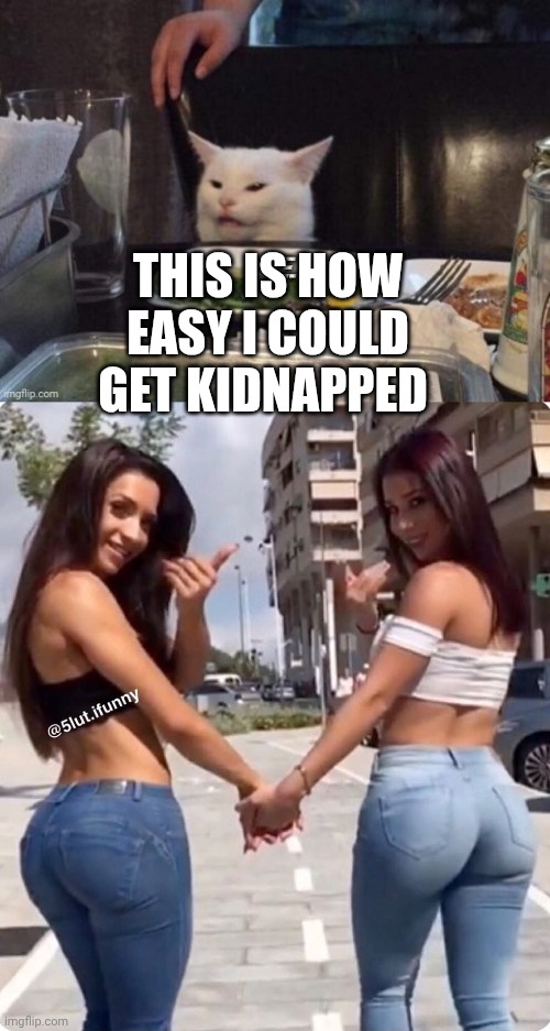 This is how easy I could get kidnapped | image tagged in smudge that darn cat | made w/ Imgflip meme maker