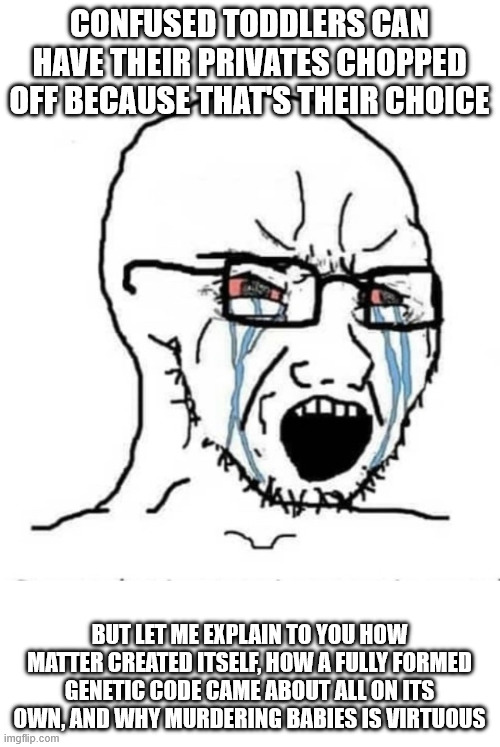 confused toddlers can have their privates chopped off because that's their choice but let me explain to you how matter created itself, how a | image tagged in nooo soyboy | made w/ Imgflip meme maker