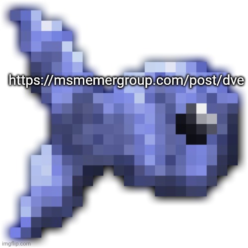 Marme plug for the site | https://msmemergroup.com/post/dve | image tagged in new fishium | made w/ Imgflip meme maker
