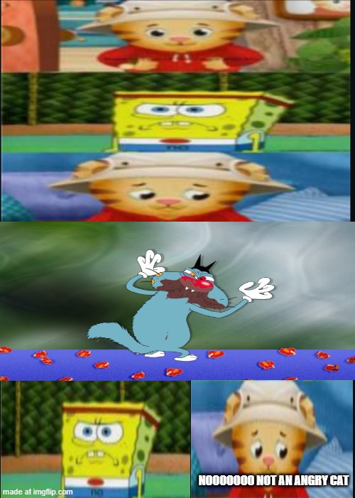 I had a stroke | NOOOOOOO NOT AN ANGRY CAT | image tagged in i had a stroke | made w/ Imgflip meme maker