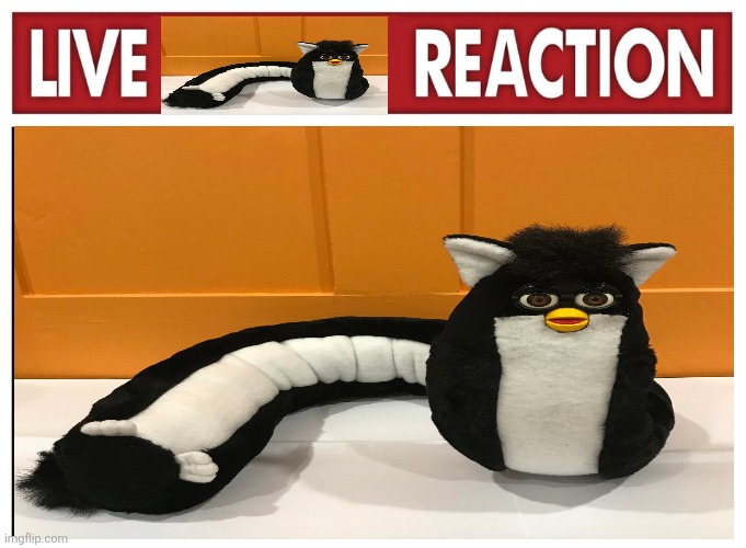 Idk what to put here | image tagged in furby,why,oh wow are you actually reading these tags | made w/ Imgflip meme maker