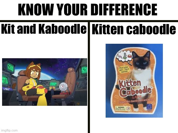 Kit and Caboodle | Kit and Kaboodle; Kitten caboodle | image tagged in know your difference | made w/ Imgflip meme maker