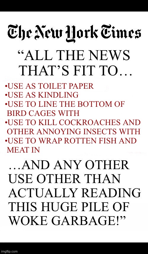 They’ve had over 100 years as “THE (traitorous and treacherous) newspaper of record” | •use as toilet paper
•use as kindling 
•use to line the bottom of 
 bird cages with 
•use to kill cockroaches and 
 other Annoying insects with 
•use to wrap rotten fish and 
 meat in | image tagged in political meme,new york times,fake news,woke,better uses,the leftist newspaper of record | made w/ Imgflip meme maker