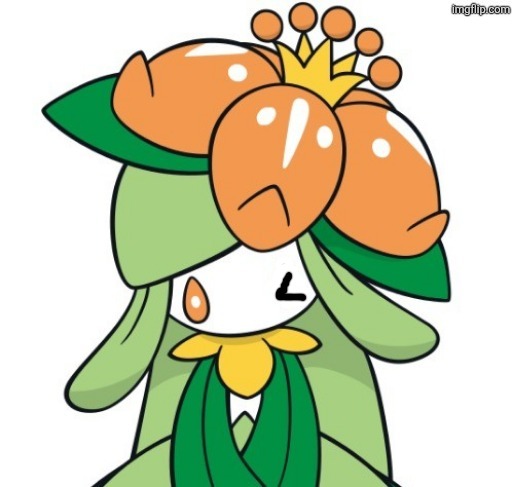 Winking Lilly | image tagged in winking lilly | made w/ Imgflip meme maker