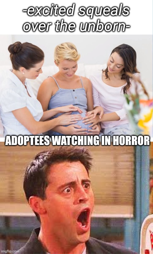 Invasion of a sacred space | -excited squeals over the unborn-; Adoptees watching in horror | image tagged in pregnant mom and friends blank,shocked face | made w/ Imgflip meme maker